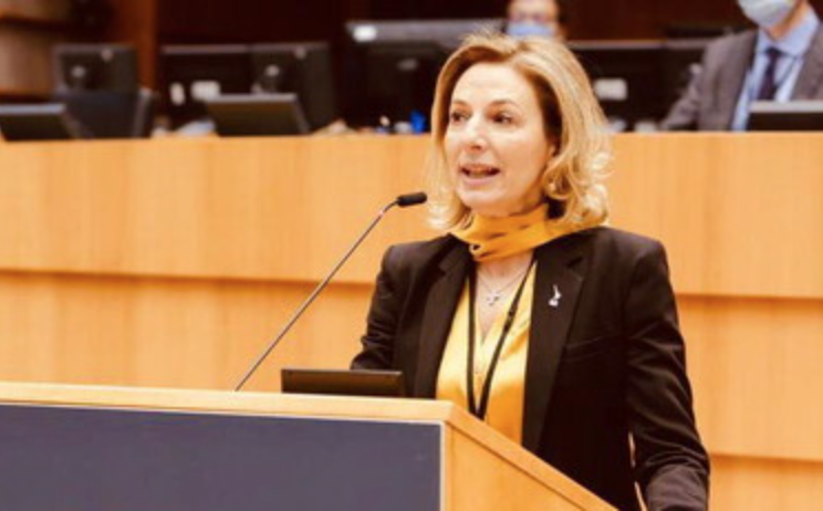Ricordate il caso Simonetti? Baldassarre: «Europarlamento incapace di gestire la situazione» 1